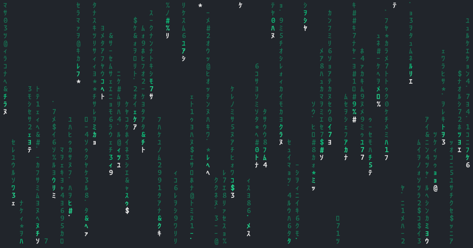 Matrix-Effekt Terminal Animation